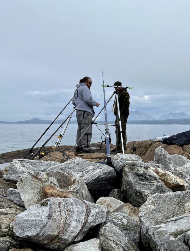 Experience the thrill of catching a variety of fish from the shores of Tjongsfjord Lodge. With its rich waters and stunning natural surroundings, shore fishing at Tjongsfjord Lodge is a truly unforgettable experience for anglers of all levels. Whether you're looking to catch cod, haddock or other species, our knowledgeable staff will provide you with all the gear and guidance you need to have a successful day on the water. Come join us and discover the joy of shore fishing at Tjongsfjord Lodge.