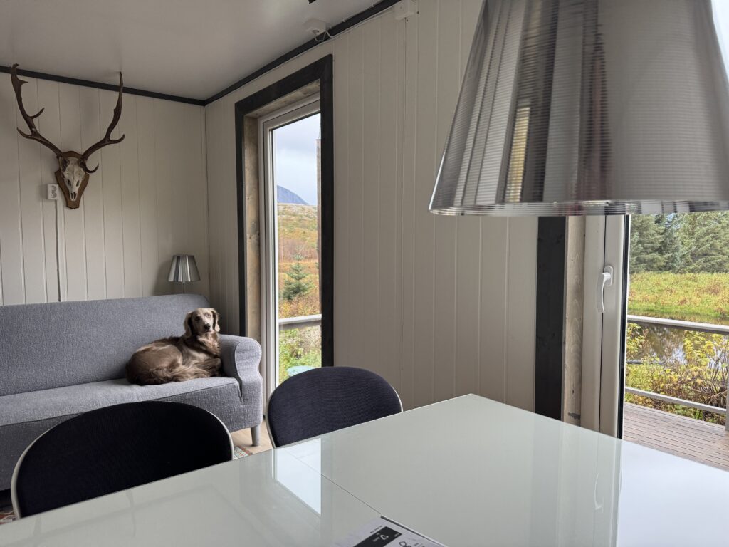 HAUS Nr. 4 – MOOSE COTTAGE BEI TJONGSFJORD LODGE: DIE erstklassige ANGELUNTERKUNFT IN NORDNORWEGEN FÜR MEERESANGELABENTEUER<br> <b> 2.000,00 € / Woche </b> 3 IMG 4402