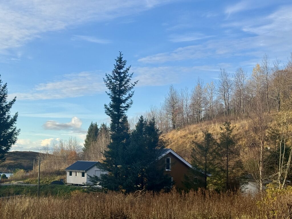 HAUS Nr. 4 – MOOSE COTTAGE BEI TJONGSFJORD LODGE: DIE erstklassige ANGELUNTERKUNFT IN NORDNORWEGEN FÜR MEERESANGELABENTEUER<br> <b> 2.000,00 € / Woche </b> 9 IMG 4528