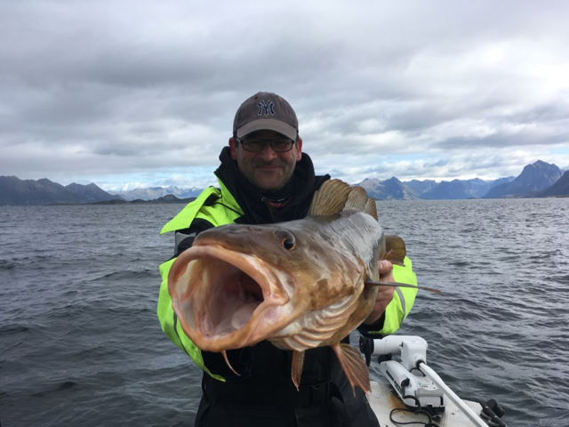 Great sea fishing holiday in Northern Norway at Tjongsfjord