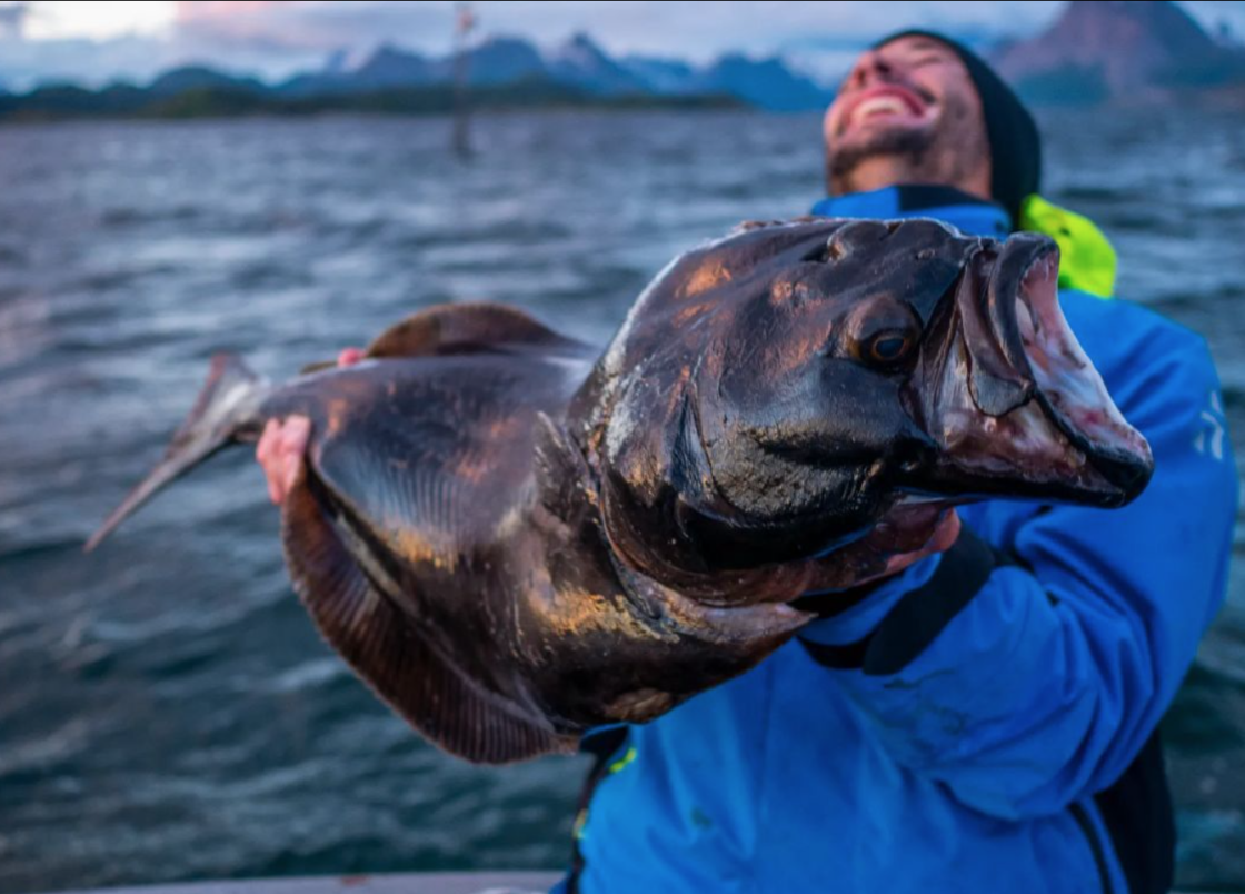 "HROD Fishing" in Tjongsfjord Lodge: 3 Epic Halibut Fishing Expeditions