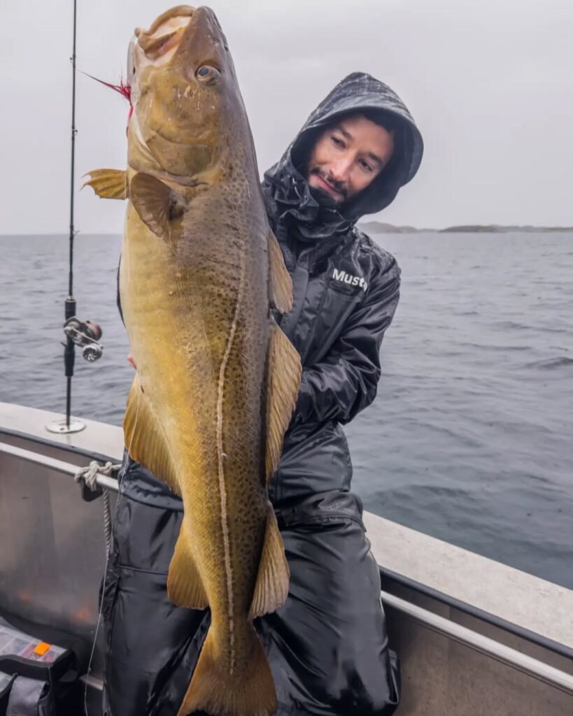 653699328 18146162017485732 3796758249448581049 n.webp